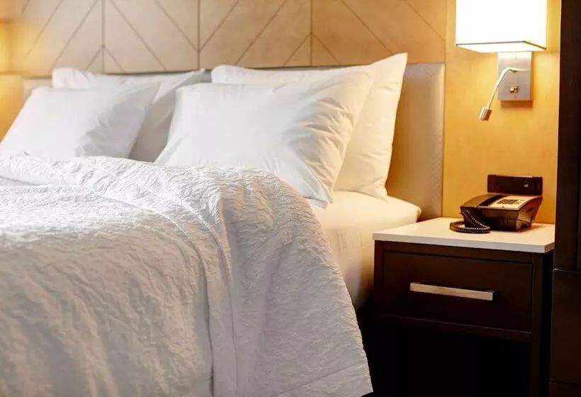 Standard-huone Parivuode, Hampton Inn Brooklyn/downtown