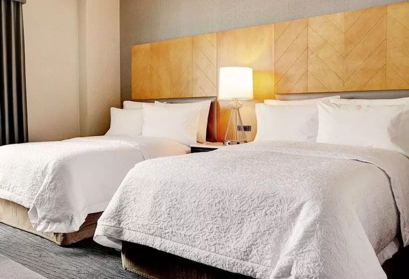 Standard-huone 2 Parivuodetta, Hampton Inn Brooklyn/downtown