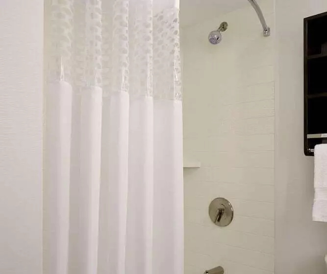 Standard-invahuone, Hampton Inn Brooklyn/downtown