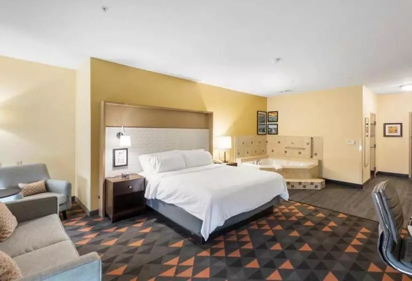 キングサイズベッドのスタンダードルーム, Holiday Inn Hotel & Suites Waco Northwest, An Ihg