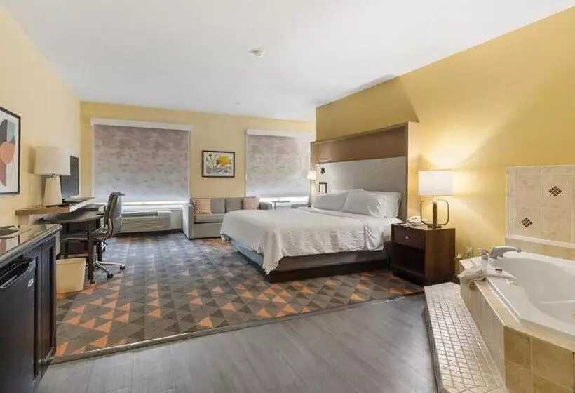 キングサイズベッドのスタンダードルーム, Holiday Inn Hotel & Suites Waco Northwest, An Ihg