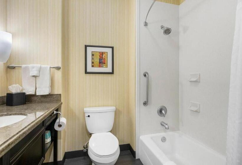 جناح, Holiday Inn Hotel & Suites Waco Northwest, An Ihg