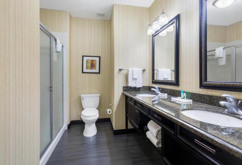Люкс, Holiday Inn Hotel & Suites Waco Northwest, An Ihg