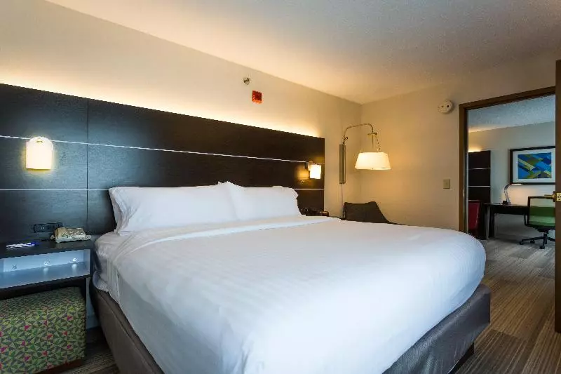 キングサイズベッドのスタンダードルーム, Holiday Inn Express Hotel & Suites Reading, An Ihg