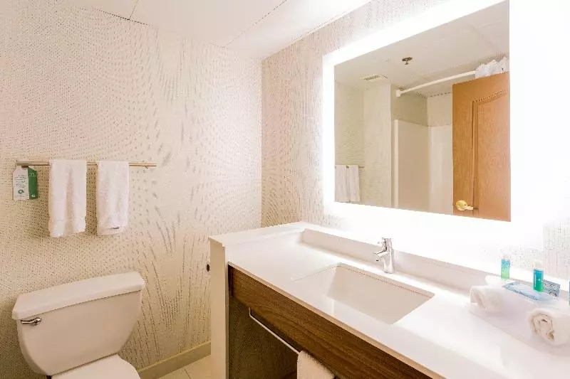 キングサイズベッドのスタンダードルーム, Holiday Inn Express Hotel & Suites Reading, An Ihg