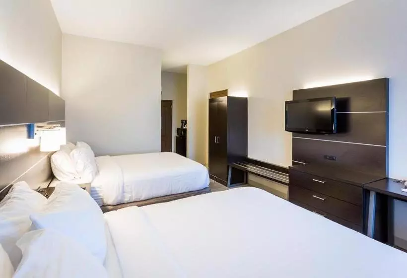 スタンダードルーム, Holiday Inn Express Hotel & Suites Reading, An Ihg