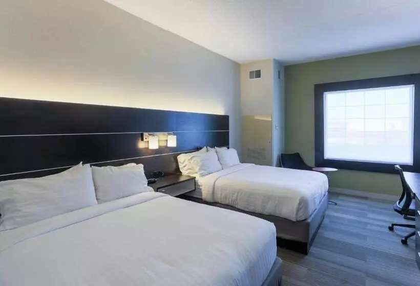 スタンダードルーム, Holiday Inn Express Hotel & Suites Reading, An Ihg