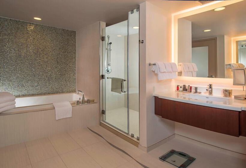 Номер Стандарт Адаптированный для Инвалидов, Marriott Marquis Washington, Dc