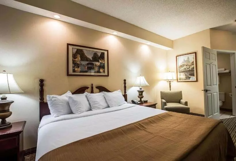 キングサイズベッドのスタンダードルーム, Quality Inn Kingsport South