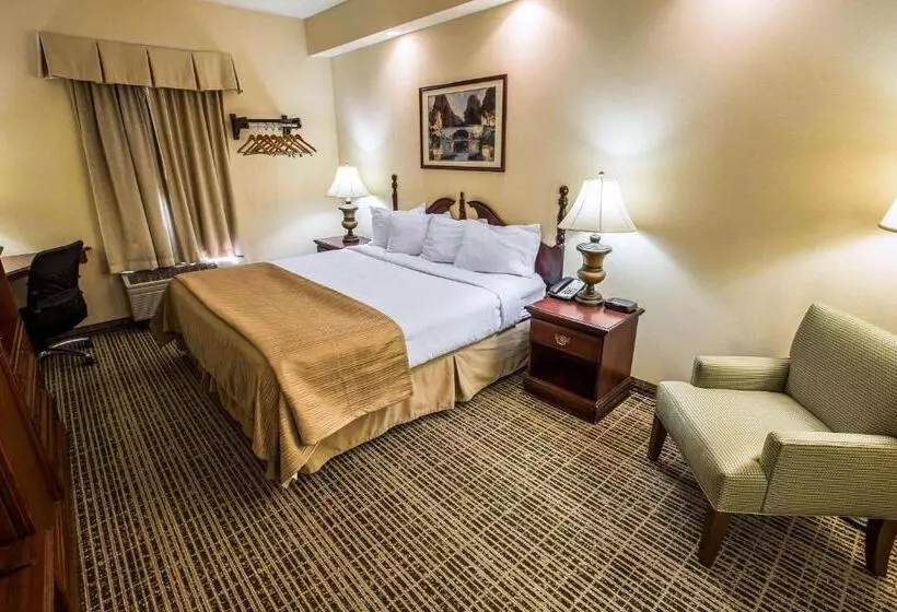 キングサイズベッドのスタンダードルーム, Quality Inn Kingsport South