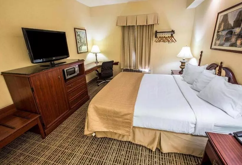 キングサイズベッドのスタンダードルーム, Quality Inn Kingsport South