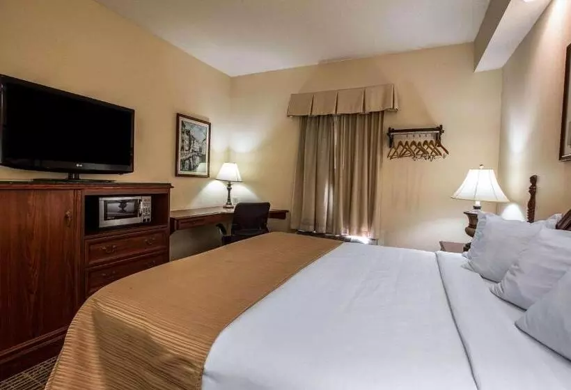 キングサイズベッドのスタンダードルーム, Quality Inn Kingsport South