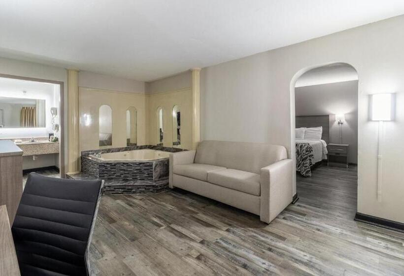 جناح سرير كينج, Red Roof Inn & Suites Jackson, Tn