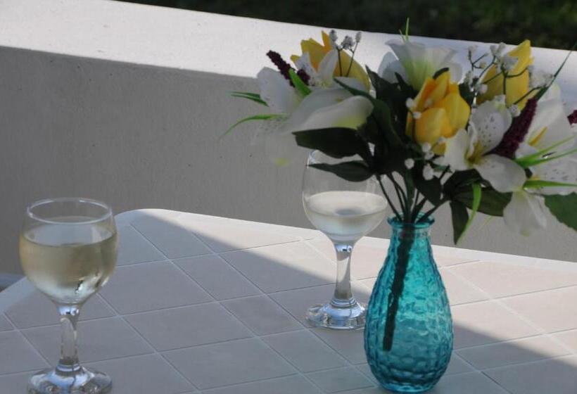 ガーデンビューのスタンダードワンルーム, Irina Beach