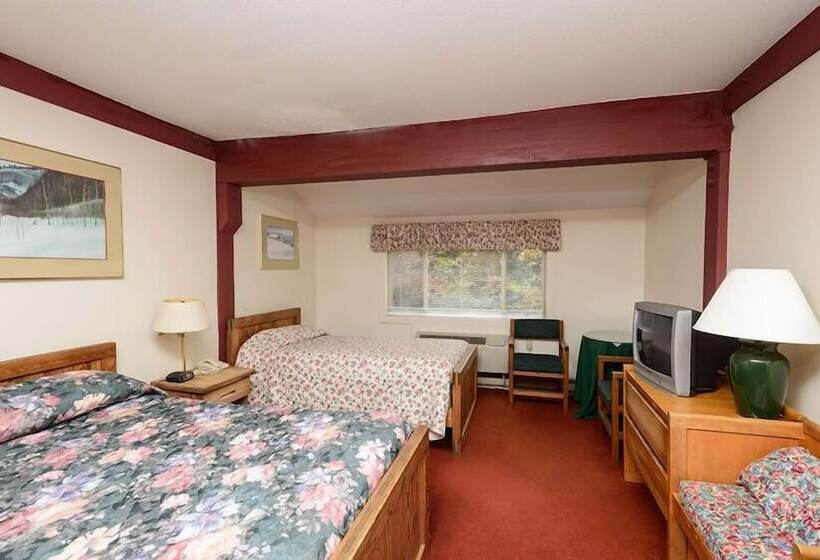 غرفة قياسية لذوى الاحتياجات الخاصة, Snowy Owl Inn