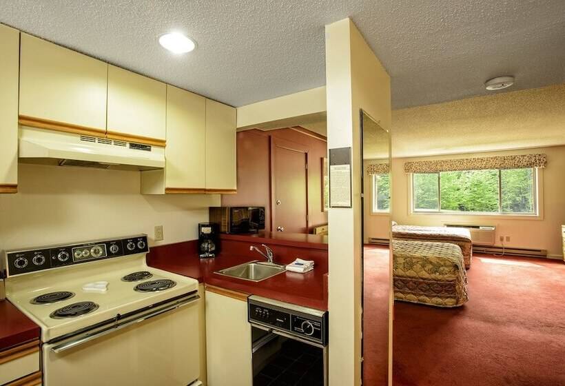 إستوديو قياسى, Snowy Owl Inn