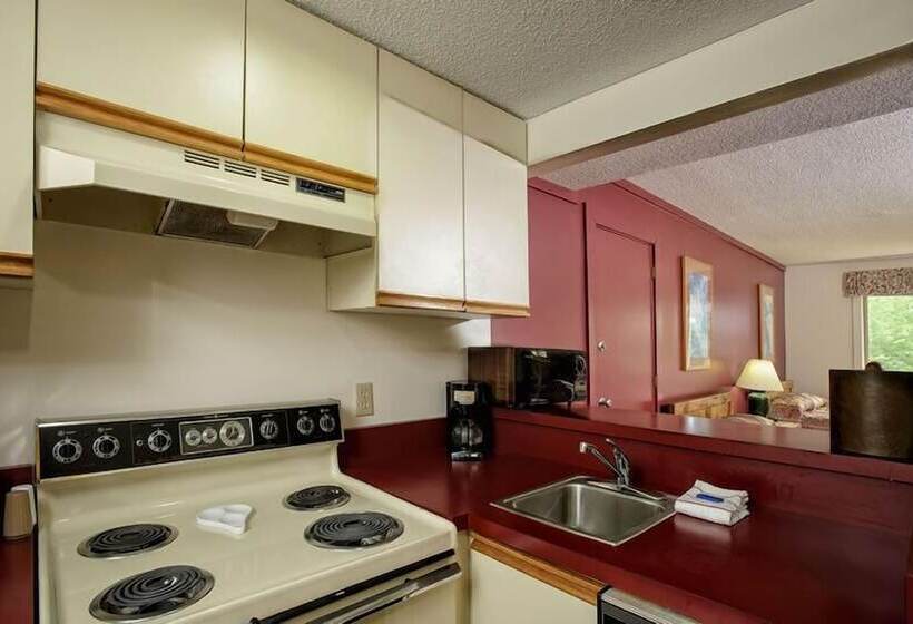 إستوديو قياسى, Snowy Owl Inn