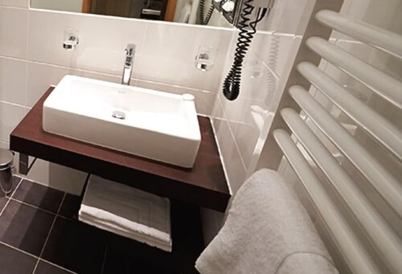 اتاق استاندارد با بالکن, Seehotel Grunewald