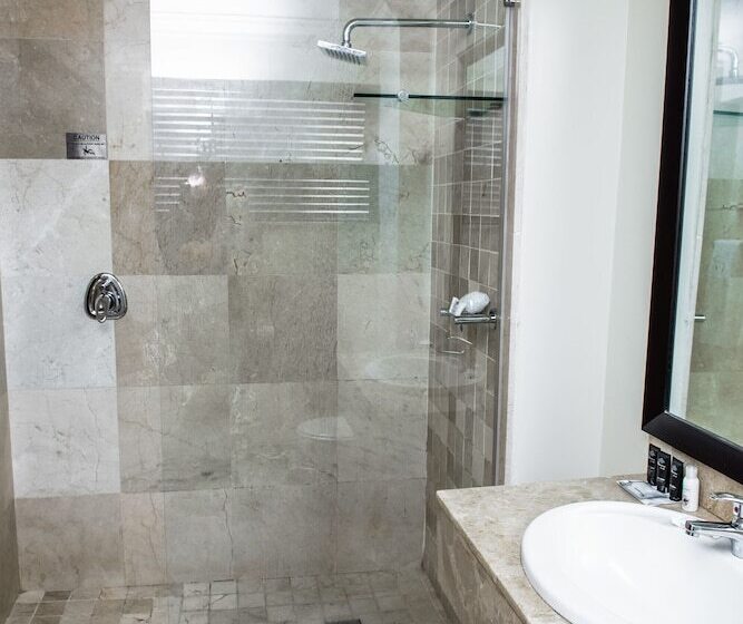 اتاق استاندارد با تخت بزرگ, Belaire Suites