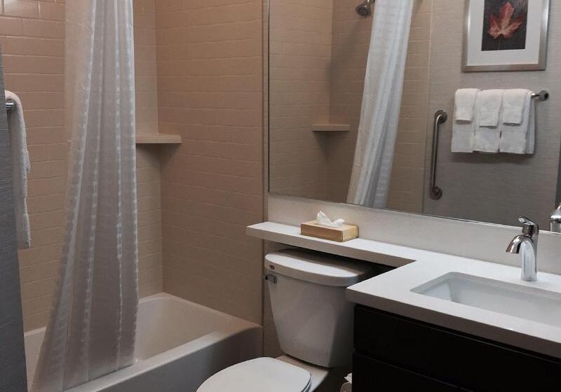 Люкс Адаптированный для Инвалидов, Candlewood Suites Youngstown W I 80 Niles Area By Ihg