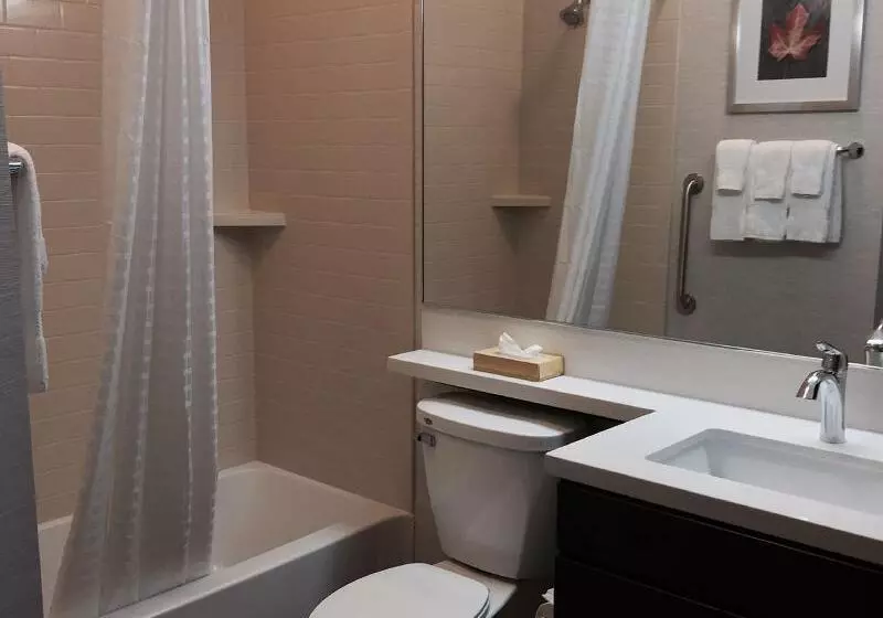 身障者適用スイートルーム, Candlewood Suites Youngstown W I 80 Niles Area By Ihg