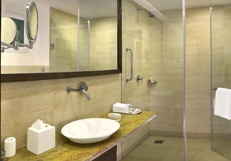 コンフォートルーム, Four Points By Sheraton New Delhi, Airport Highway