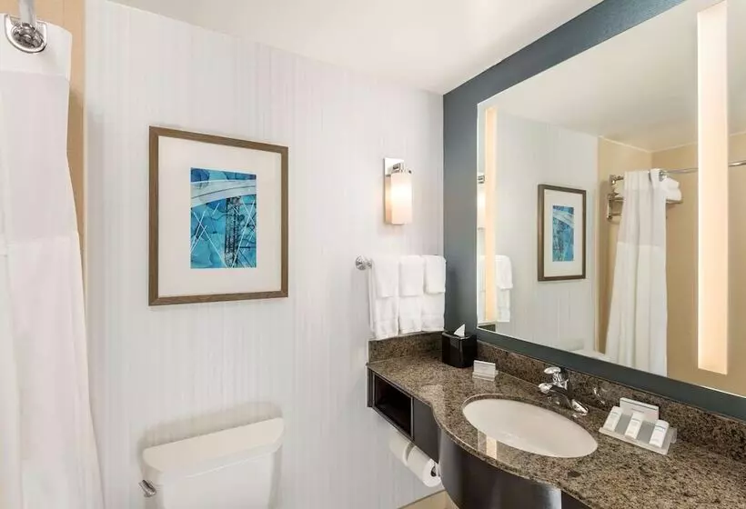Standard-huone, Hilton Garden Inn Silver Spring White Oak