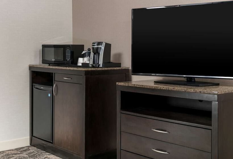 スタンダードルーム, Hilton Garden Inn Silver Spring White Oak