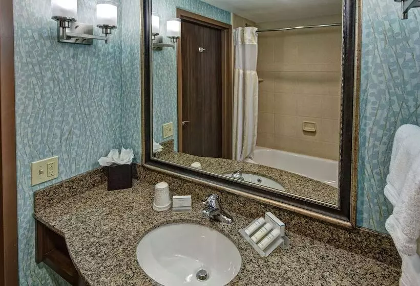 スイート, Hilton Garden Inn Tulsa Midtown