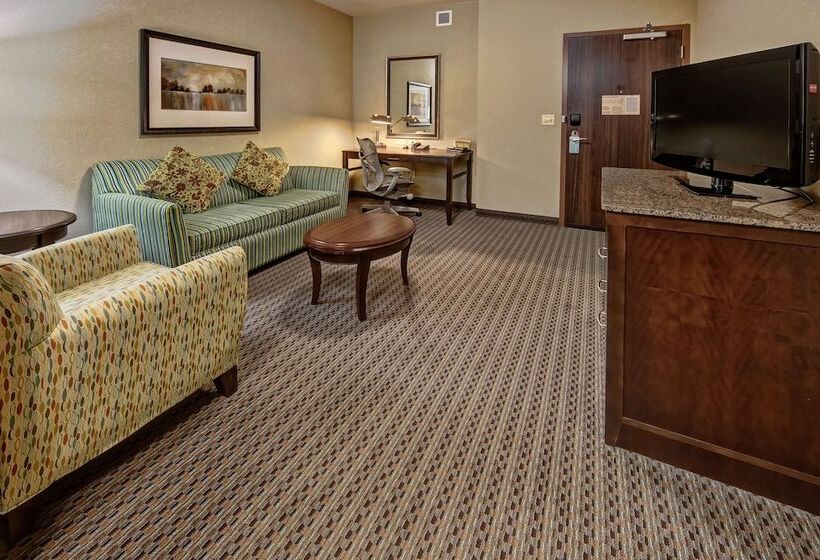 Люкс, Hilton Garden Inn Tulsa Midtown