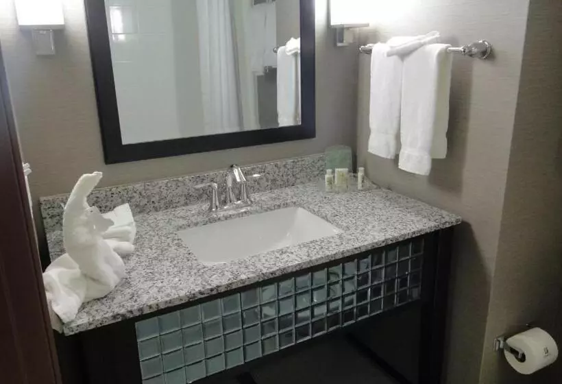 スタンダードルーム, Holiday Inn Hotel & Suites Northwest San Antonio, An Ihg