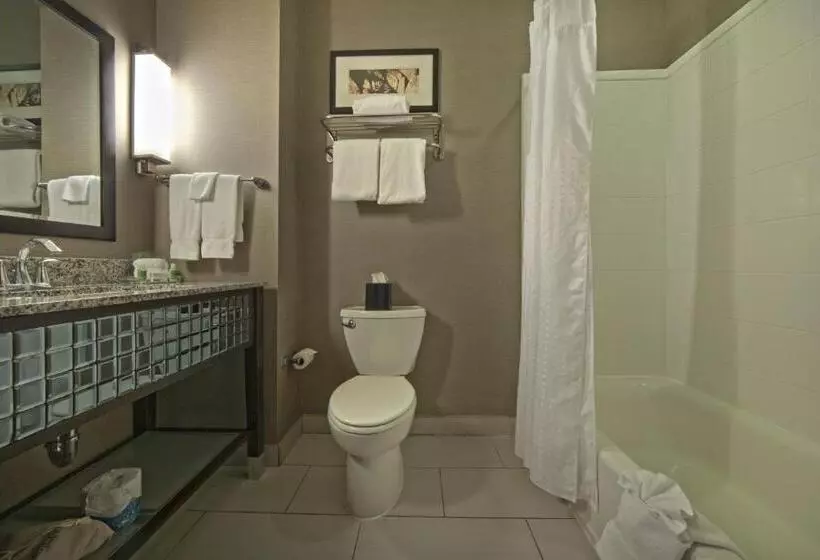 身障者適用スイートルーム, Holiday Inn Hotel & Suites Northwest San Antonio, An Ihg