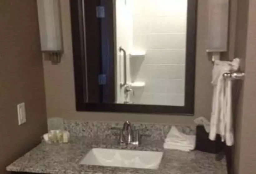 身障者適用スイートルーム, Holiday Inn Hotel & Suites Northwest San Antonio, An Ihg