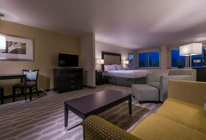 スイート, Holiday Inn Express & Suites Colorado Springs Central, An Ihg