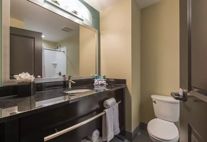 身障者適用スイートルーム, Holiday Inn Express & Suites Colorado Springs Central, An Ihg