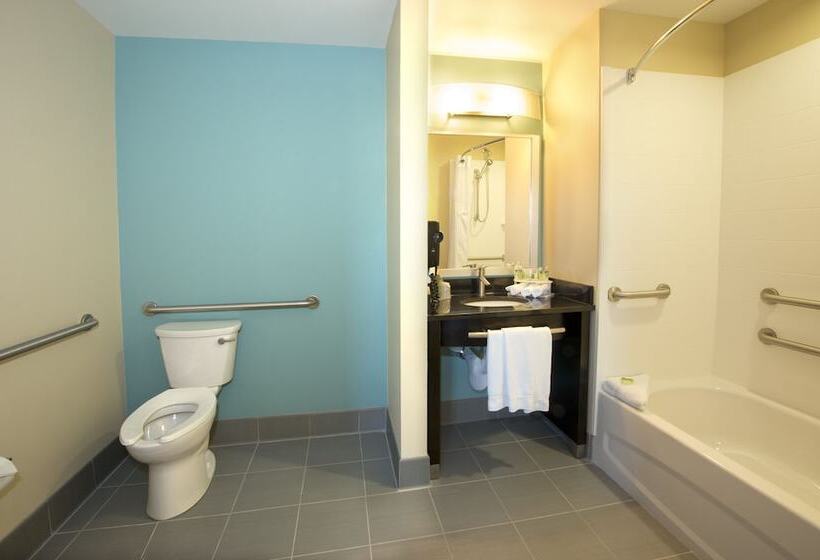 سوییت, Holiday Inn Express & Suites Colorado Springs Central, An Ihg