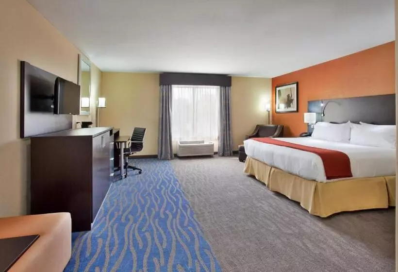 اتاق دلوکس مخصوص معلولین, Holiday Inn Express & Suites St Louis Airport, An Ihg