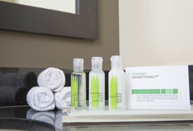 标准间, Holiday Inn Panama Distrito Financiero, An Ihg