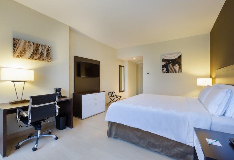 标准间, Holiday Inn Panama Distrito Financiero, An Ihg