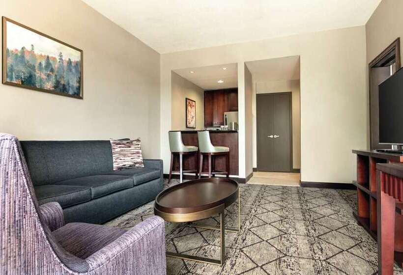 带大床的标准工作室, Home2 Suites By Hilton Salt Lake City/layton, Ut