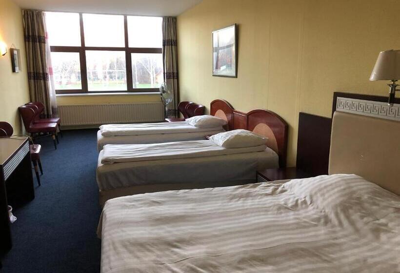 غرفة قياسية رباعية, New Ocean Paradise