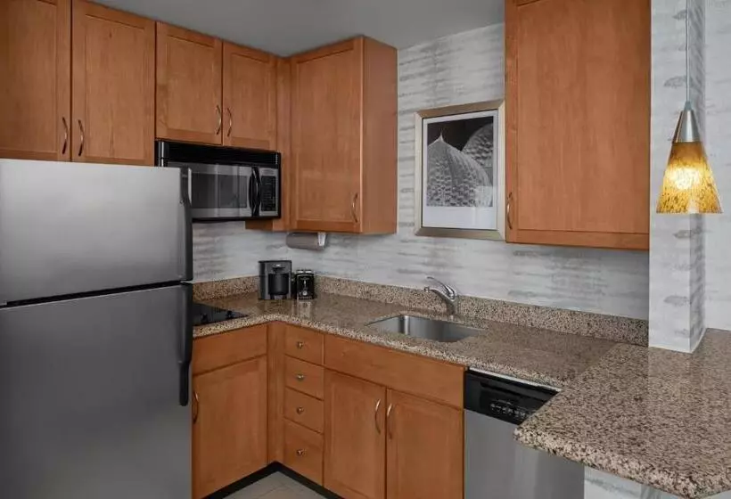 Sviitti King-vuode, Residence Inn East Rutherford Meadowlands