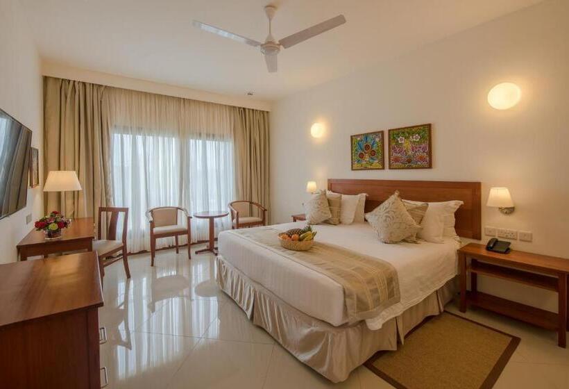 شقة غرفة واحدة, Sea Cliff Court Hotel & Luxury Apartments