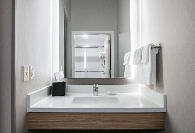 إستوديو قياسى سرير كينج, Springhill Suites By Marriott Cheyenne