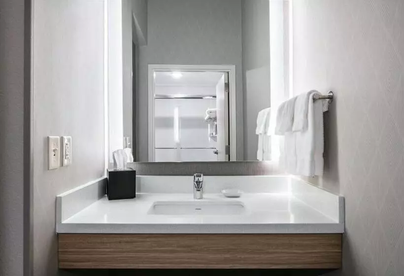 キングサイドベッドのスタンダードワンルーム, Springhill Suites By Marriott Cheyenne