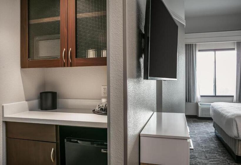 إستوديو قياسى سرير كينج, Springhill Suites By Marriott Cheyenne