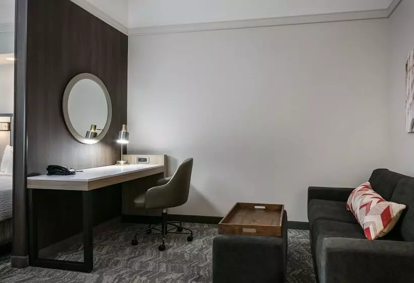 スタンダードスタジオ, Springhill Suites By Marriott Cheyenne