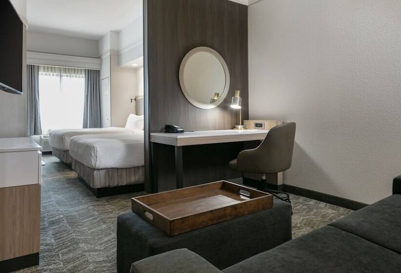 إستوديو قياسى, Springhill Suites By Marriott Cheyenne