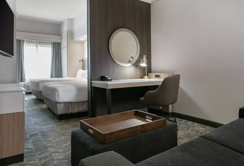 スタンダードスタジオ, Springhill Suites By Marriott Cheyenne