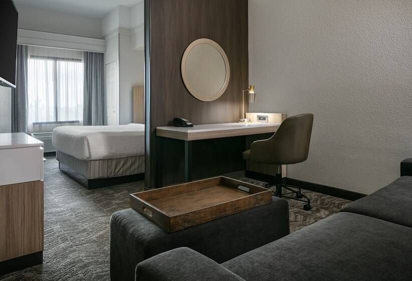 إستوديو قياسى, Springhill Suites By Marriott Cheyenne